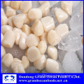 Frozen high quality IQF scallop meat